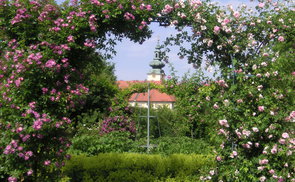 Hofgarten Stift Seitenstetten 